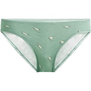 MeUndies – Women’s Stretch Cotton Bikini – Comfortable Panties –Amazon Exclusive Fabric(T-rex)